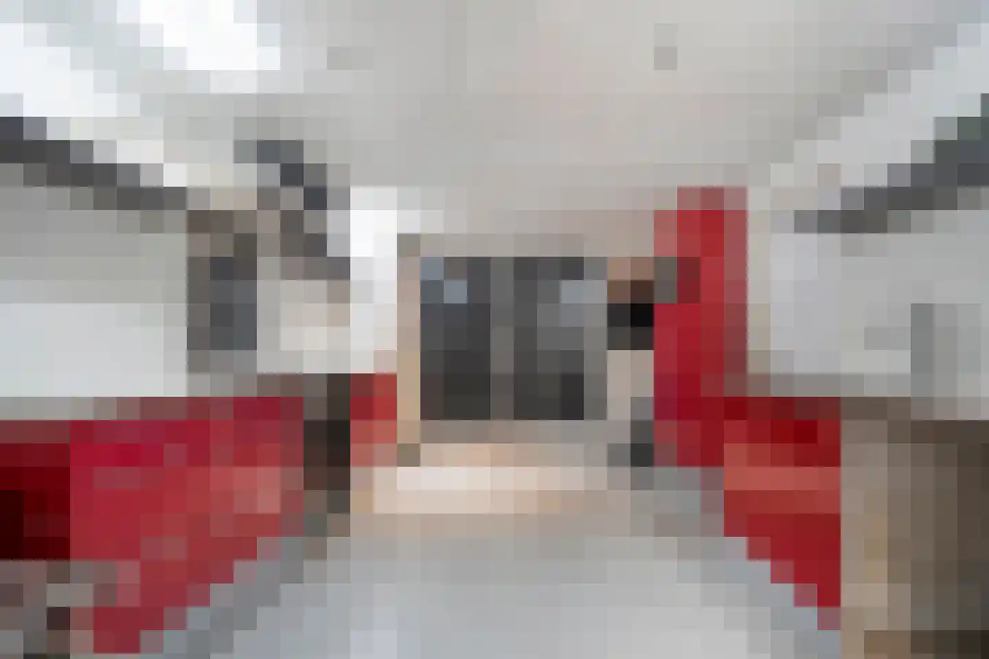 Nieuwewijk 51 a Dedemsvaart thumbnail 37