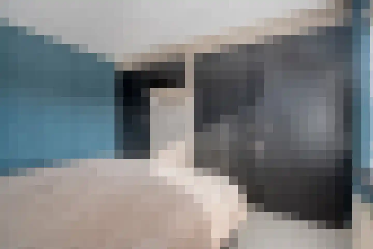 Nieuwewijk 51 a Dedemsvaart thumbnail 40