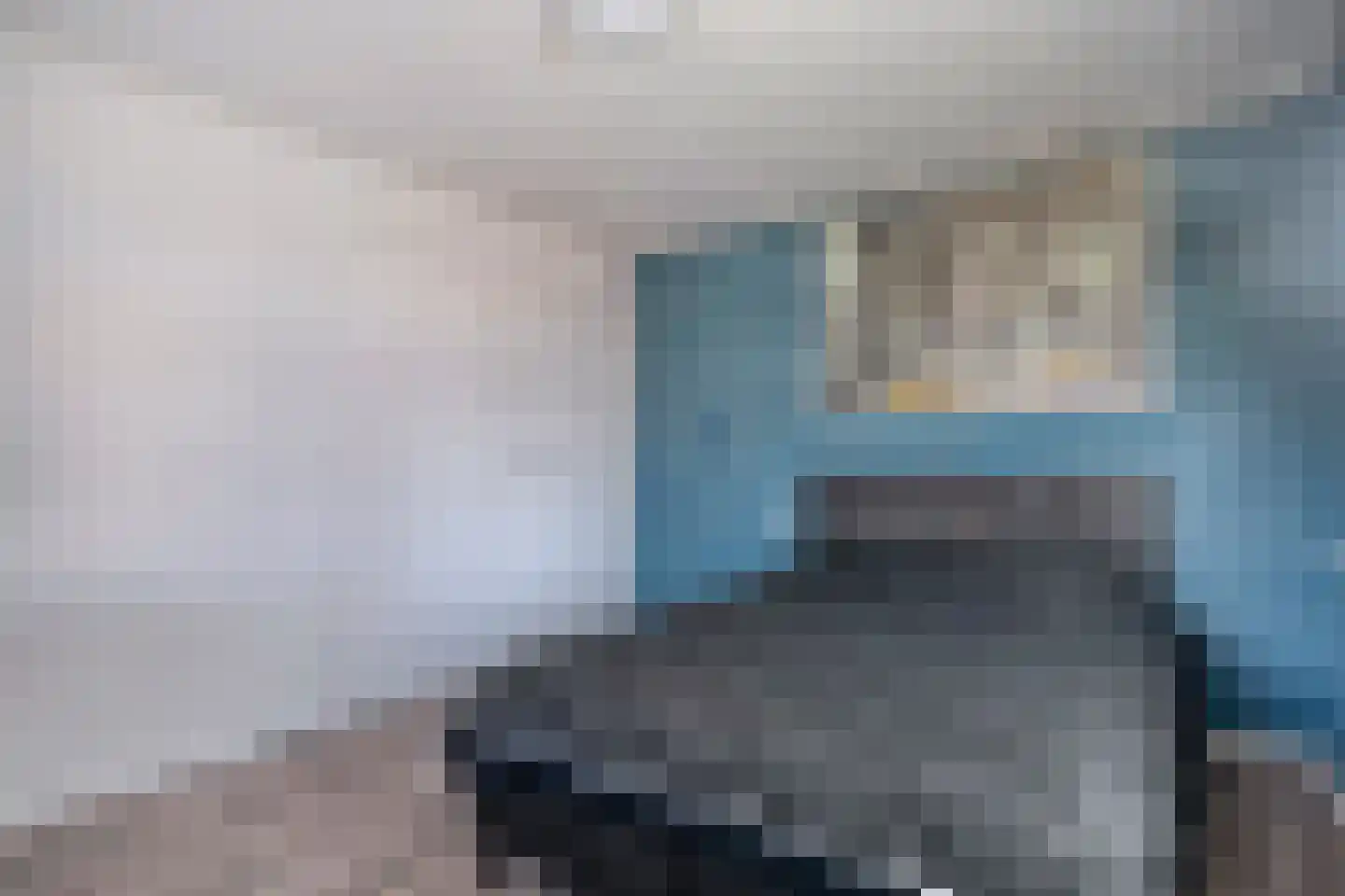 Nieuwewijk 51 a Dedemsvaart thumbnail 41