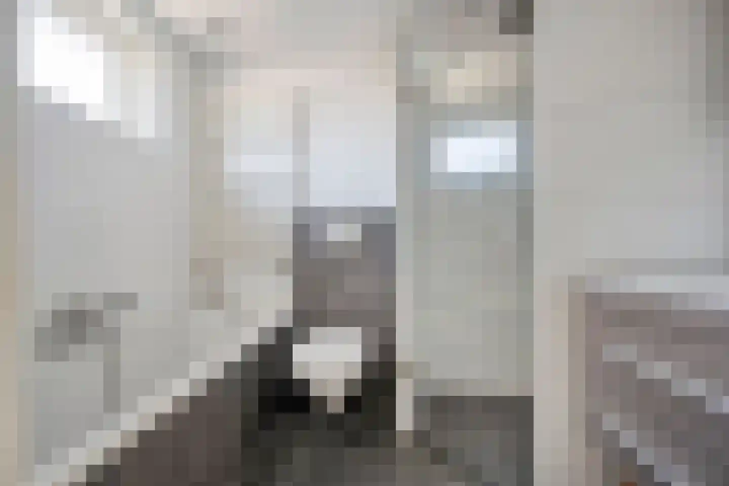 Nieuwewijk 51 a Dedemsvaart thumbnail 46