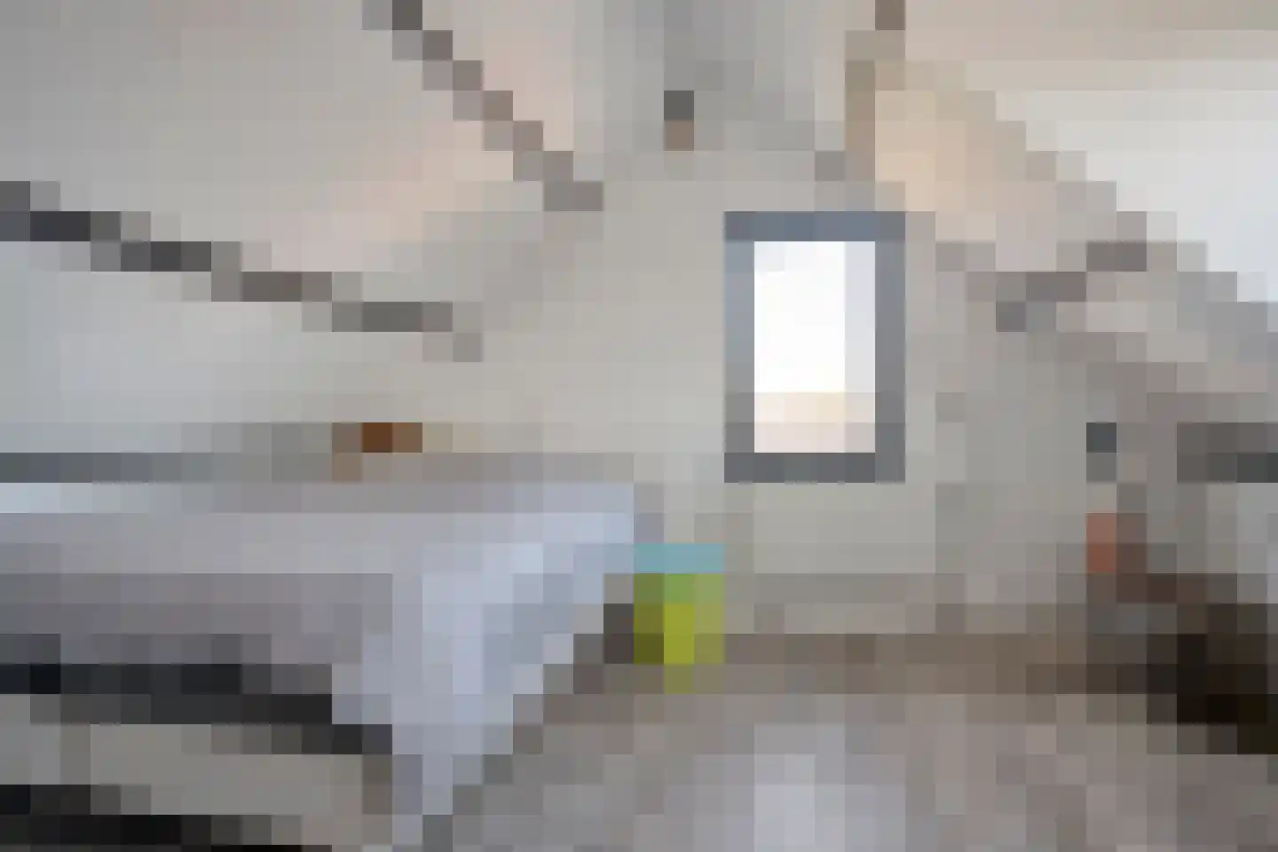 Nieuwewijk 51 a Dedemsvaart thumbnail 48