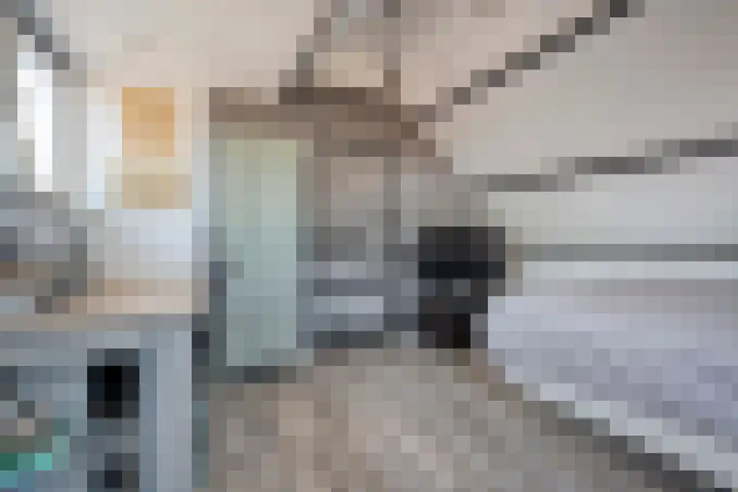Nieuwewijk 51 a Dedemsvaart thumbnail 49
