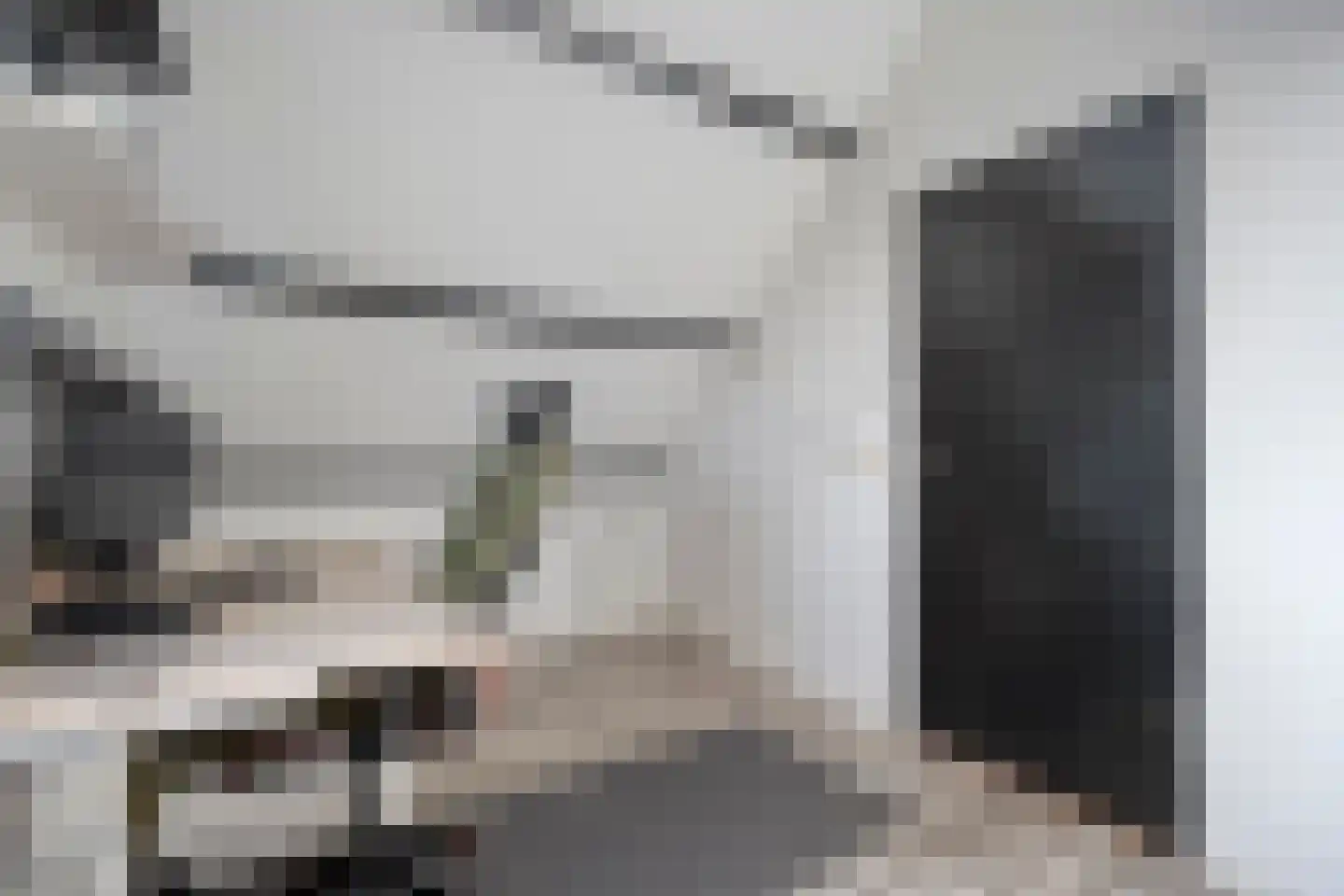 Nieuwewijk 51 a Dedemsvaart thumbnail 51
