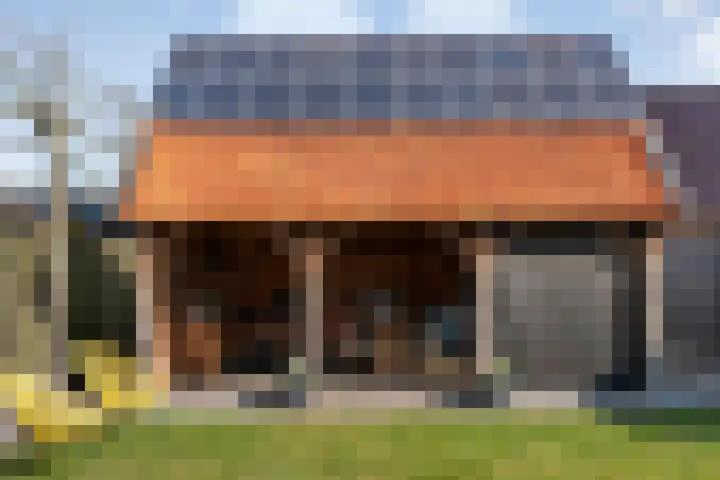 Nieuwewijk 51 a Dedemsvaart thumbnail 61