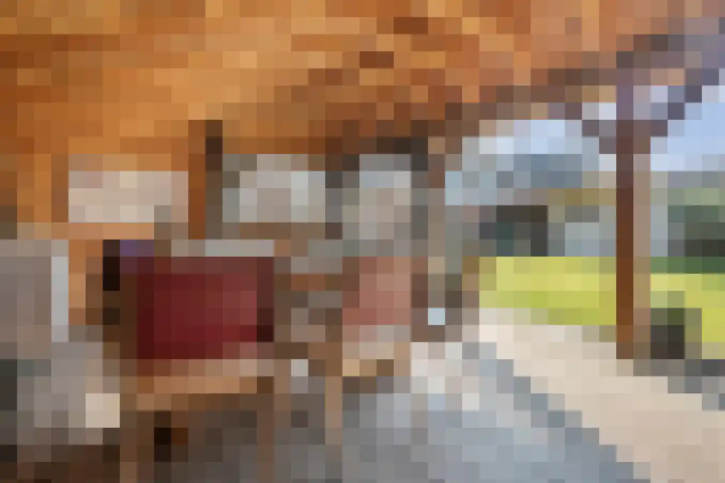 Nieuwewijk 51 a Dedemsvaart thumbnail 64