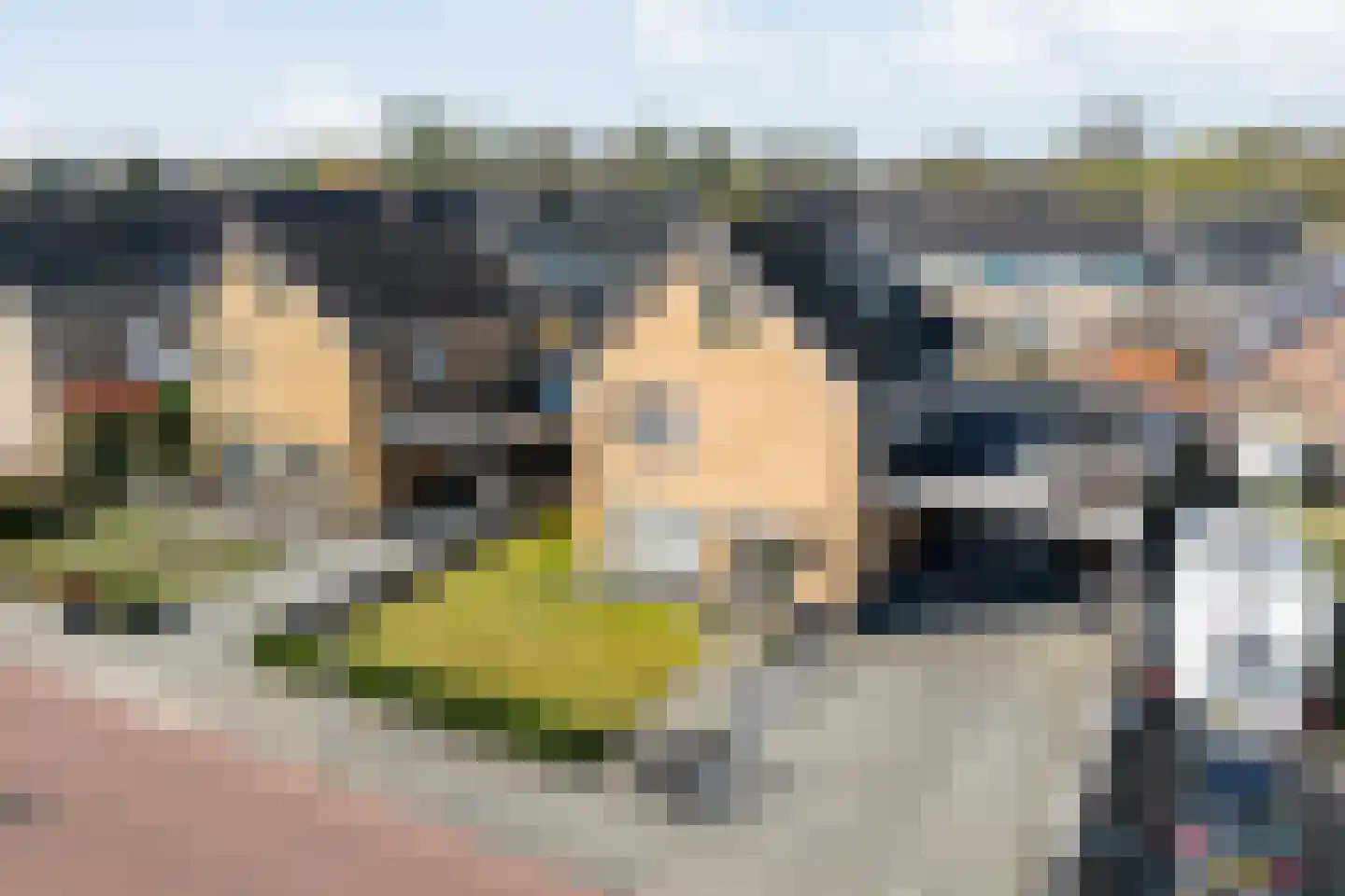 Nieuwewijk 51 a Dedemsvaart thumbnail 8