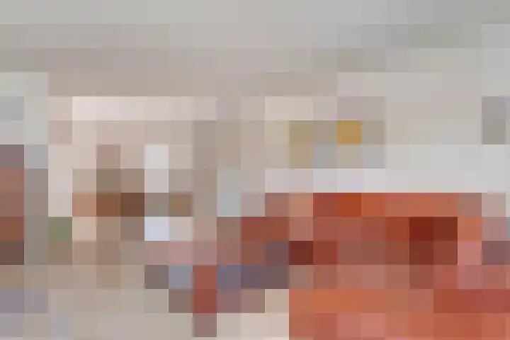 Nieuwewijk 73 Dedemsvaart thumbnail 12