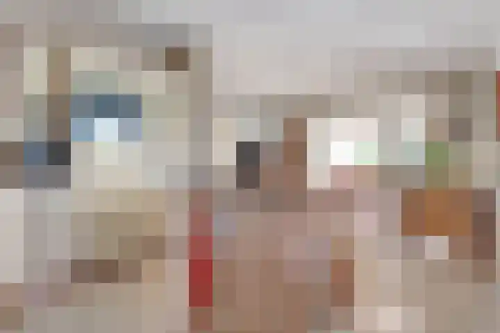 Nieuwewijk 73 Dedemsvaart thumbnail 15
