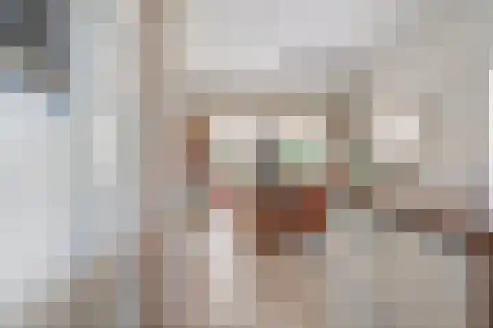 Nieuwewijk 73 Dedemsvaart thumbnail 16