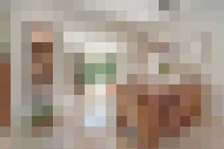 Nieuwewijk 73 Dedemsvaart thumbnail 18