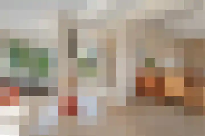 Nieuwewijk 73 Dedemsvaart thumbnail 20