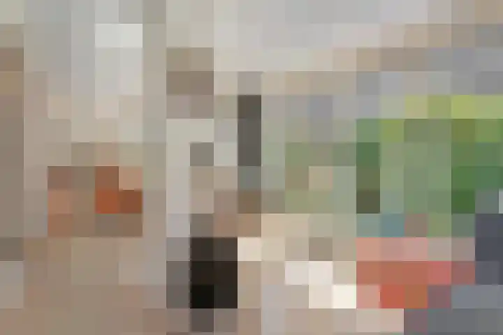 Nieuwewijk 73 Dedemsvaart thumbnail 21