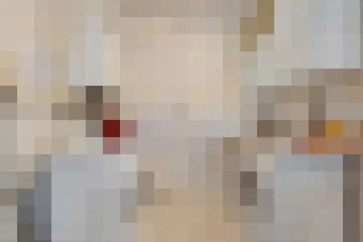 Nieuwewijk 73 Dedemsvaart thumbnail 22