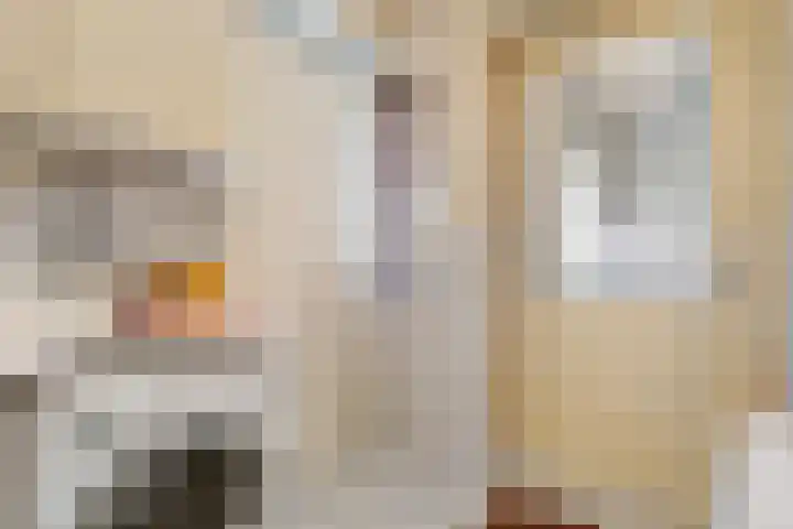 Nieuwewijk 73 Dedemsvaart thumbnail 23