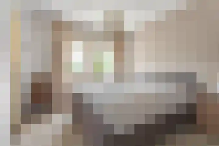 Nieuwewijk 73 Dedemsvaart thumbnail 24