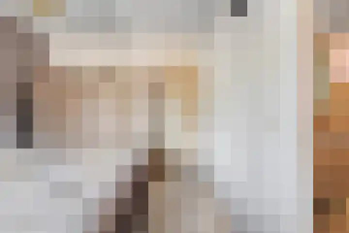 Nieuwewijk 73 Dedemsvaart thumbnail 25