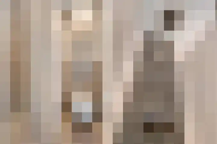 Nieuwewijk 73 Dedemsvaart thumbnail 27