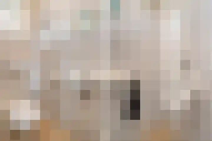 Nieuwewijk 73 Dedemsvaart thumbnail 28