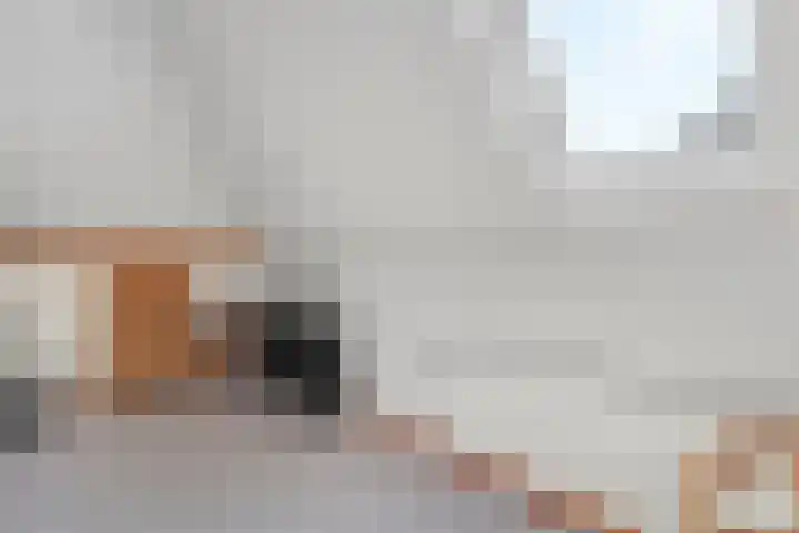 Nieuwewijk 73 Dedemsvaart thumbnail 33