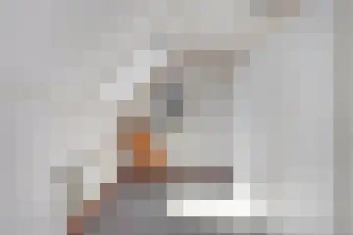 Nieuwewijk 73 Dedemsvaart thumbnail 34