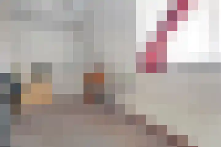 Nieuwewijk 73 Dedemsvaart thumbnail 35