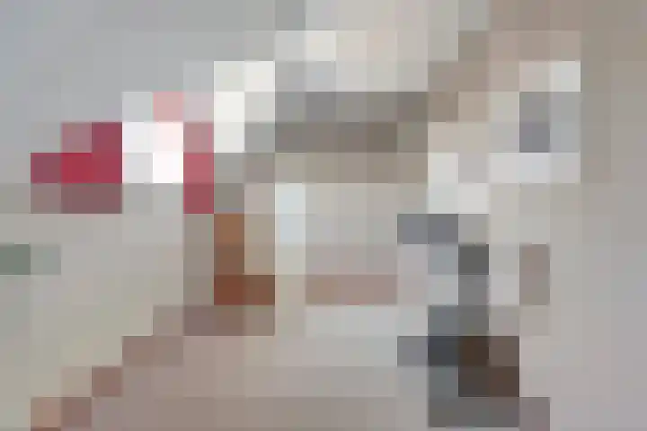 Nieuwewijk 73 Dedemsvaart thumbnail 36