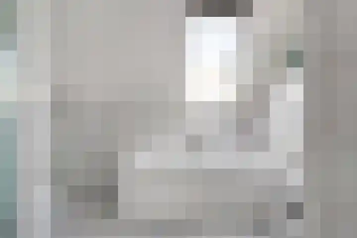 Nieuwewijk 73 Dedemsvaart thumbnail 37