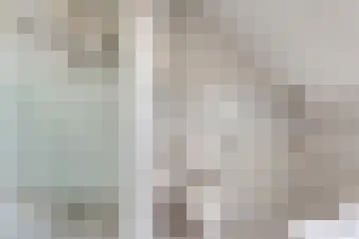 Nieuwewijk 73 Dedemsvaart thumbnail 38