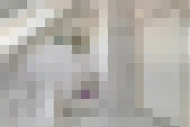 Nieuwewijk 73 Dedemsvaart thumbnail 39