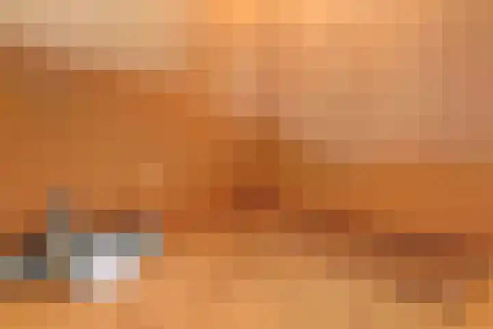 Nieuwewijk 73 Dedemsvaart thumbnail 40