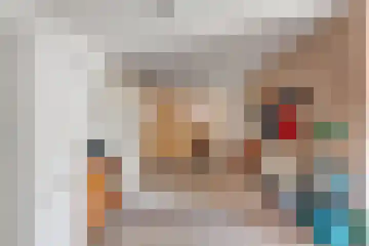 Nieuwewijk 73 Dedemsvaart thumbnail 41