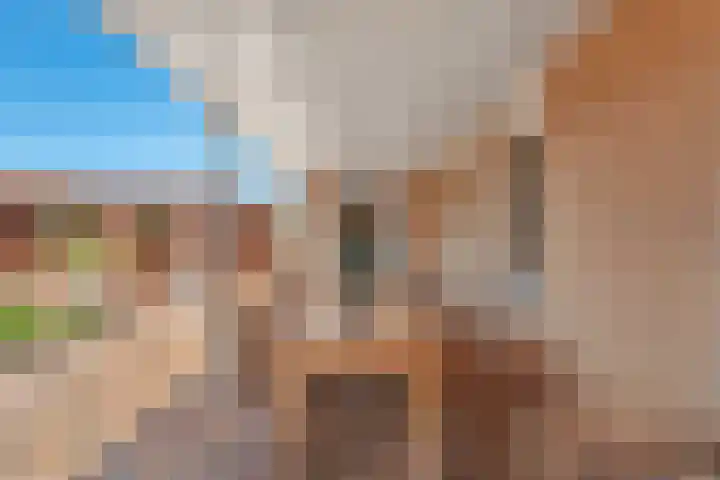 Nieuwewijk 73 Dedemsvaart thumbnail 43