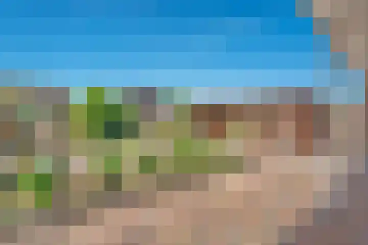 Nieuwewijk 73 Dedemsvaart thumbnail 44