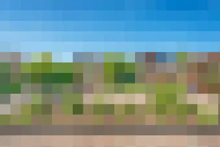 Nieuwewijk 73 Dedemsvaart thumbnail 45