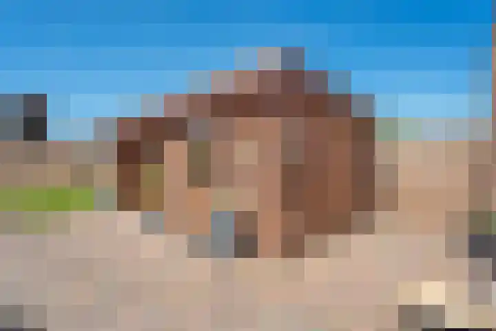 Nieuwewijk 73 Dedemsvaart thumbnail 46