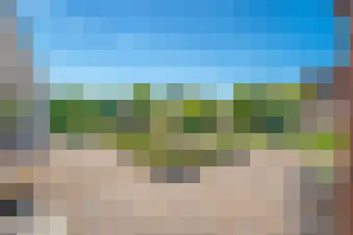 Nieuwewijk 73 Dedemsvaart thumbnail 47