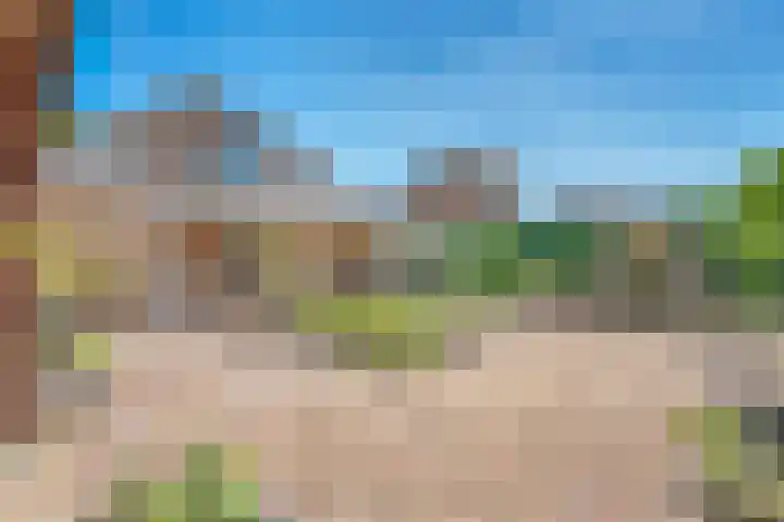 Nieuwewijk 73 Dedemsvaart thumbnail 48