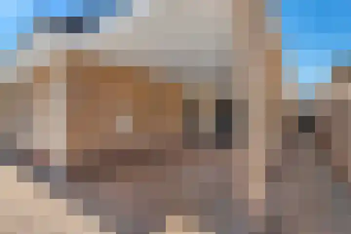 Nieuwewijk 73 Dedemsvaart thumbnail 5