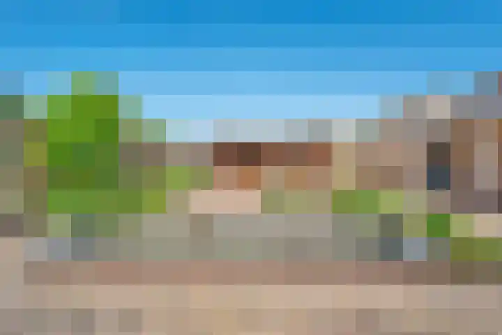 Nieuwewijk 73 Dedemsvaart thumbnail 50