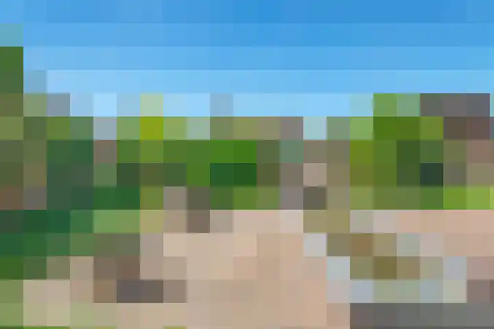 Nieuwewijk 73 Dedemsvaart thumbnail 51