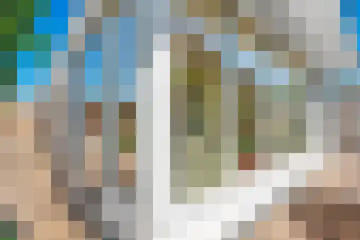 Nieuwewijk 73 Dedemsvaart thumbnail 52