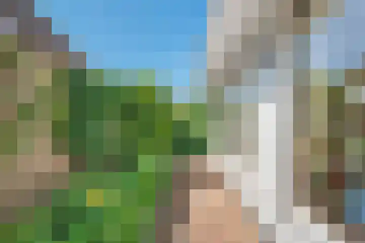 Nieuwewijk 73 Dedemsvaart thumbnail 54