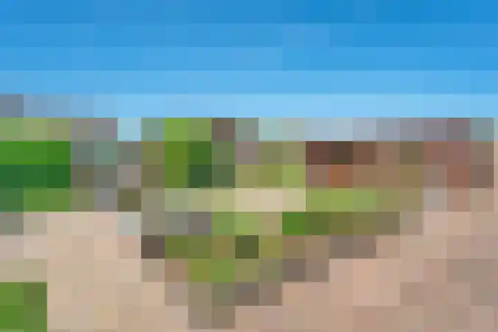 Nieuwewijk 73 Dedemsvaart thumbnail 55