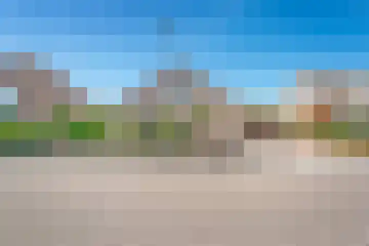 Nieuwewijk 73 Dedemsvaart thumbnail 57