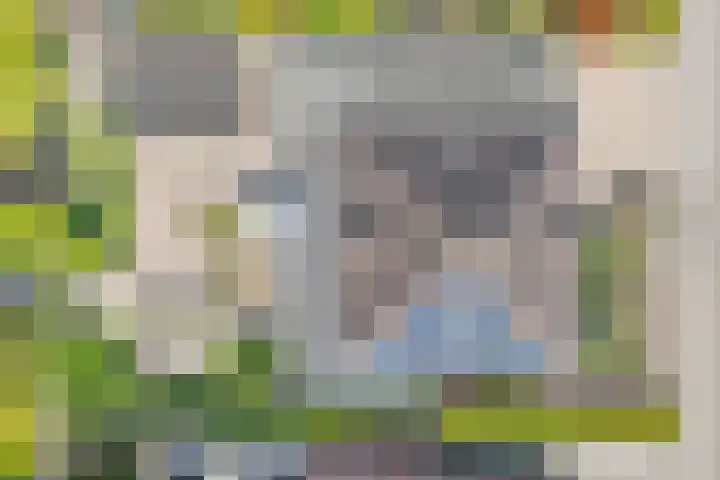 Nieuwewijk 73 Dedemsvaart thumbnail 58