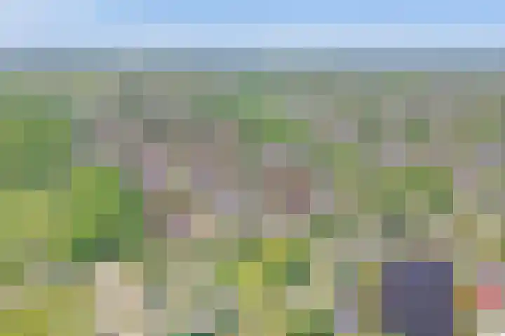 Nieuwewijk 73 Dedemsvaart thumbnail 59