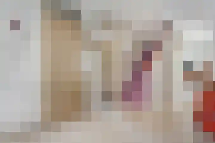 Nieuwewijk 73 Dedemsvaart thumbnail 6