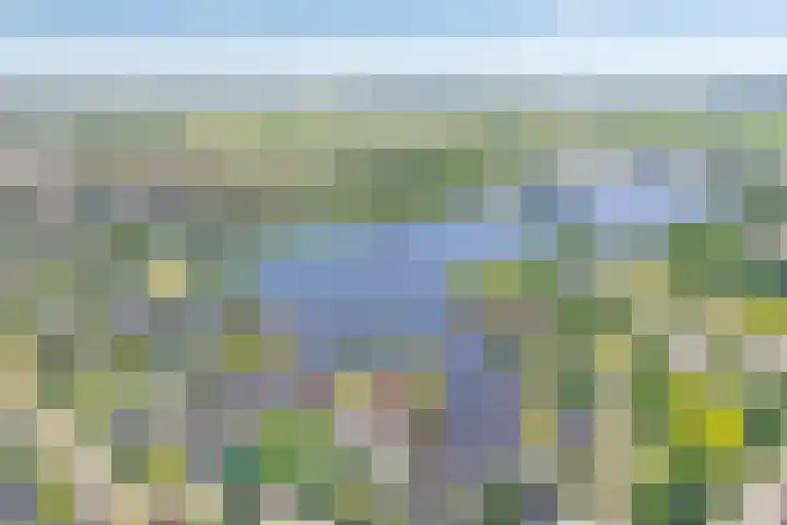 Nieuwewijk 73 Dedemsvaart thumbnail 60