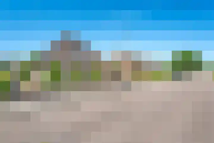 Nieuwewijk 73 Dedemsvaart thumbnail 61