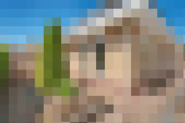 Nieuwewijk 73 Dedemsvaart thumbnail 63